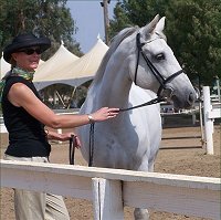 Hideaway's Irish Mist, Connemara Pony Mare