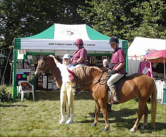 new forest pony publicity group