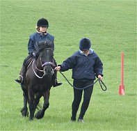 Meadow Valley Fell Ponies and Fell Pony Society East Midlands Support Group Trotting and Fun Day