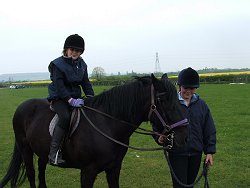 Meadow Valley Fell Ponies and Fell Pony Society East Midlands Support Group Trotting and Fun Day