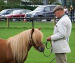 fell, dales, connemara, british spotted, coloured, dartmoor, eriskay, exmoor, highland, new forest, shetland, welsh, discussion forums