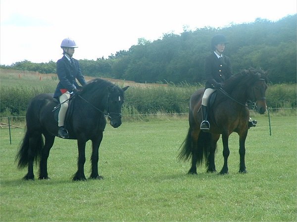 Fell Pony Society Midlands East Support Group Show