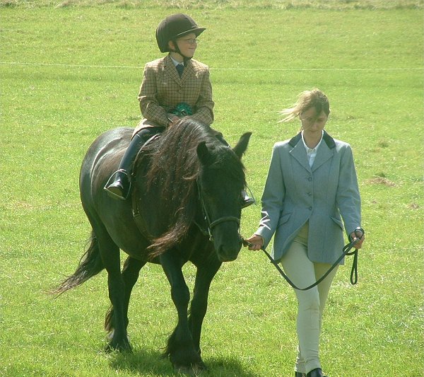 Fell Pony Society Midlands East Support Group Show