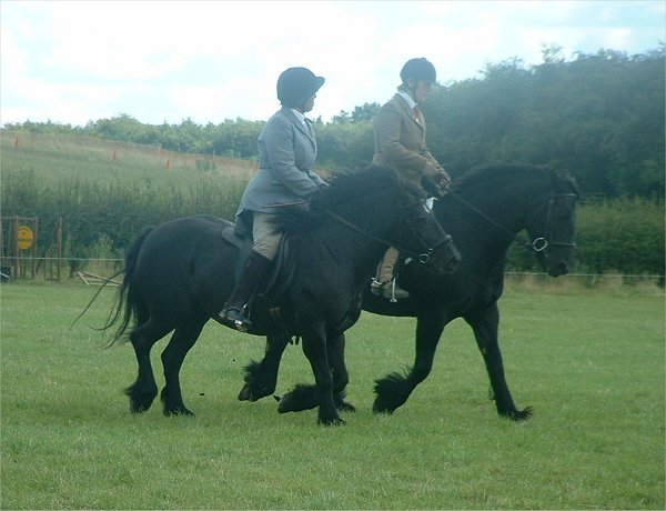 Fell Pony Society Midlands East Support Group Show