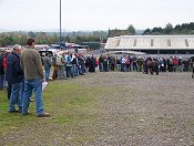 Penrith Fell Pony sales