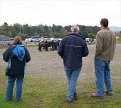 Watching the Penrith Fell Pony Sales 2007