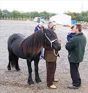 Class 2 Penrith Fell Pony Sales 2007