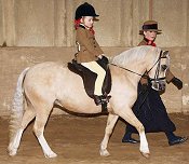 Welsh Section A Mountain and Moorland Pony Charity Show 2008
