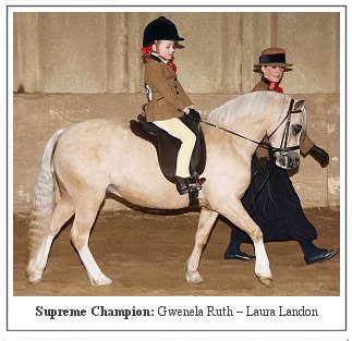 Welsh Section A Mountain and Moorland Pony Charity Show 2008