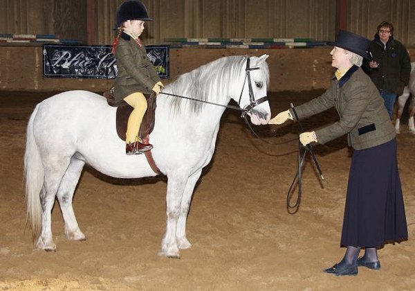 Welsh Section A Lead Rein Mountain and Moorland Pony Charity Show 2008