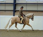 National Pony Society  Wessex Region 24 - Spring Show 2007